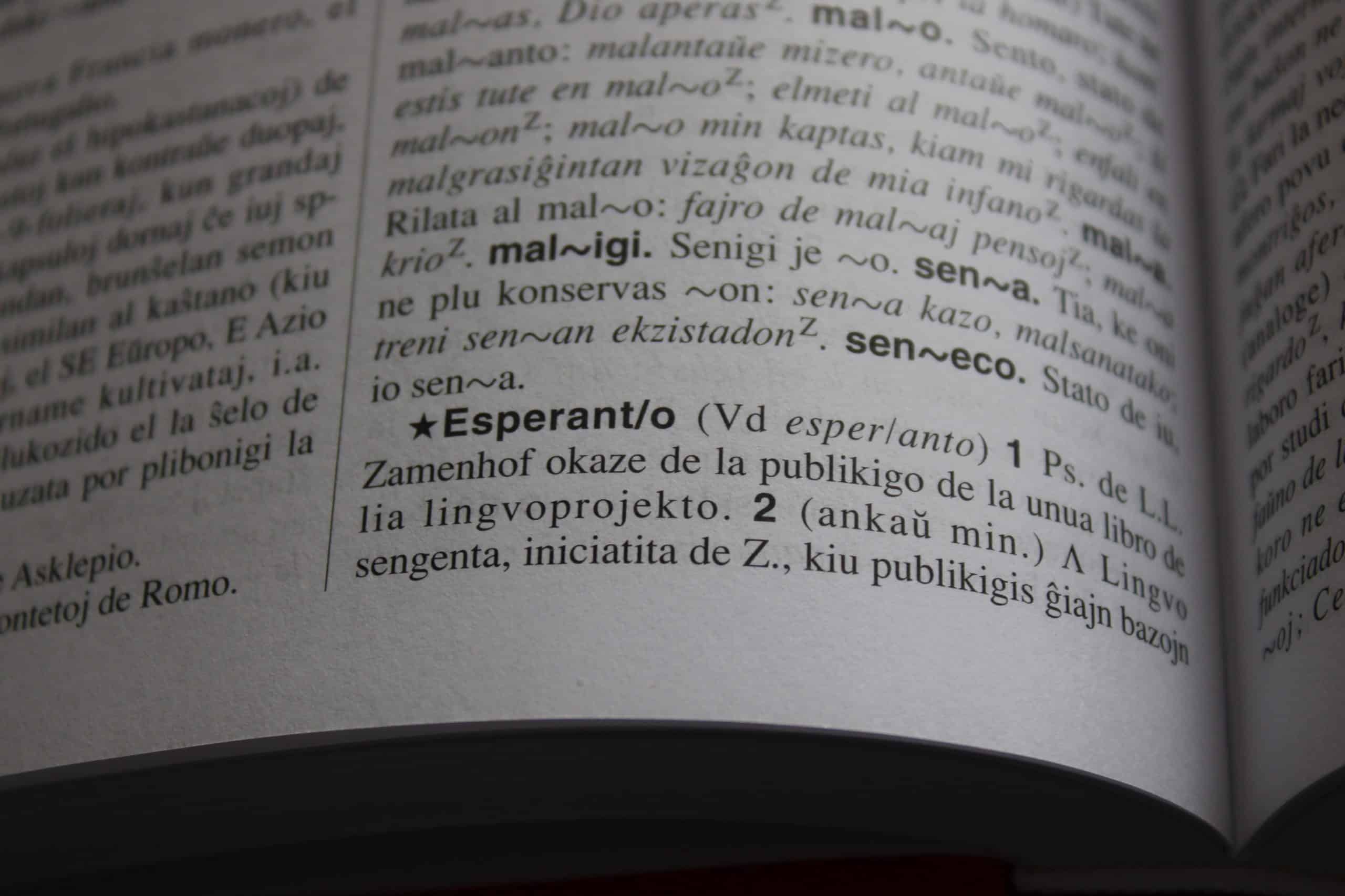 El esperanto como idioma universal